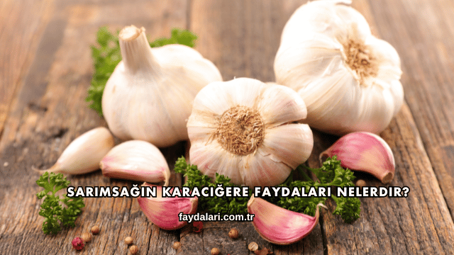 Sarımsağın Karaciğere Faydaları Nelerdir?
