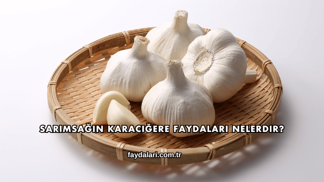 Sarımsağın Karaciğere Faydaları Nelerdir?