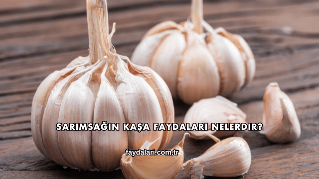 Sarımsağın Kaşa Faydaları Nelerdir?
