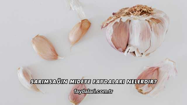 Sarımsağın Mideye Faydaları Nelerdir?