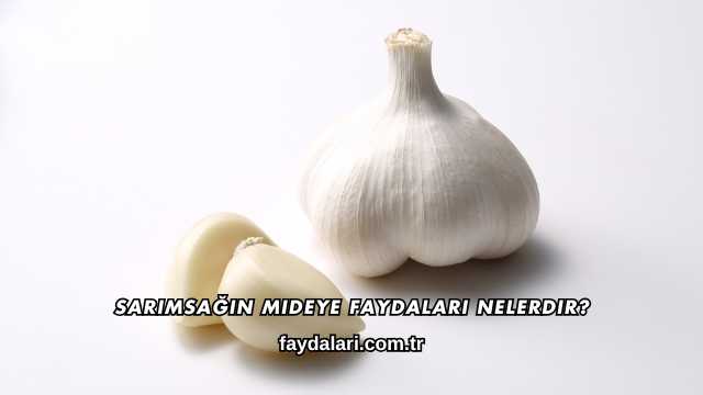 Sarımsağın Mideye Faydaları Nelerdir?