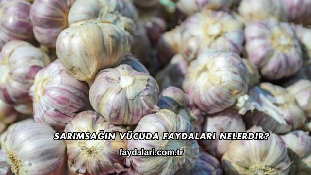 Sarımsağın Vücuda Faydaları Nelerdir?