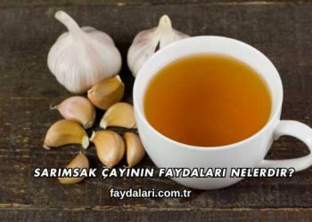 Sarımsak Çayının Faydaları Nelerdir?