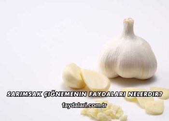Sarımsak Çiğnemenin Faydaları Nelerdir?