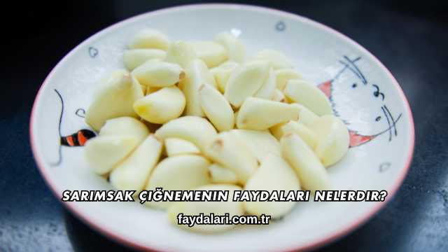 Sarımsak Çiğnemenin Faydaları Nelerdir?