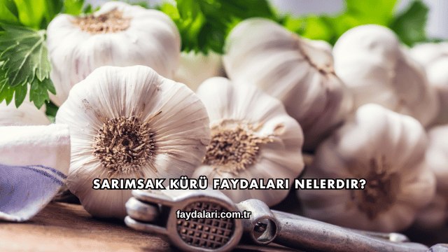 Sarımsak Kürü Faydaları Nelerdir?