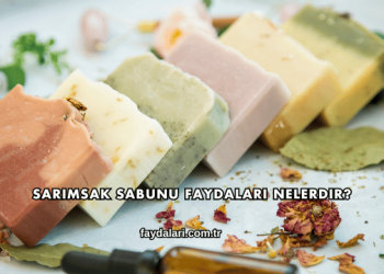Sarımsak Sabunu Faydaları Nelerdir?