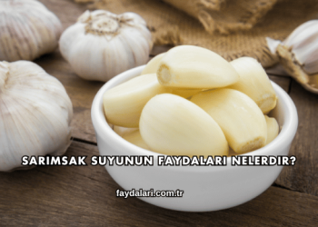 Sarımsak Suyunun Faydaları Nelerdir?
