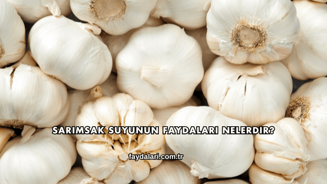 Sarımsak Suyunun Faydaları Nelerdir?