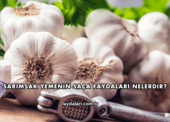 Sarımsak Yemenin Saça Faydaları Nelerdir?
