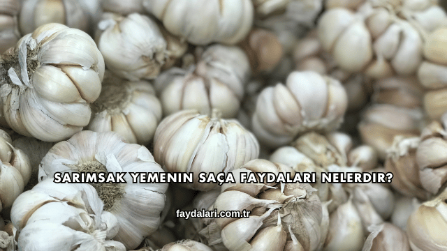Sarımsak Yemenin Saça Faydaları Nelerdir?