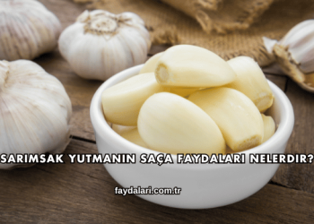 Sarımsak Yutmanın Saça Faydaları Nelerdir?