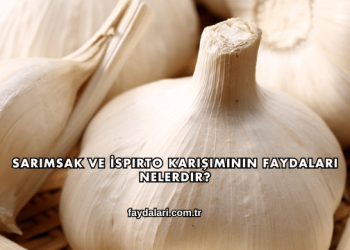 Sarımsak ve İspirto Karışımının Faydaları Nelerdir?