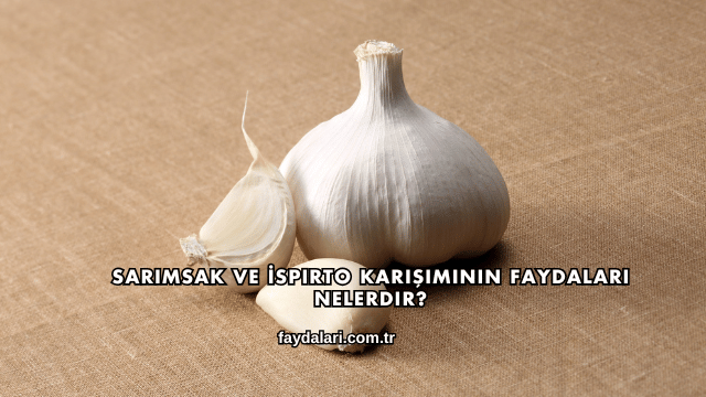 Sarımsak ve İspirto Karışımının Faydaları Nelerdir?