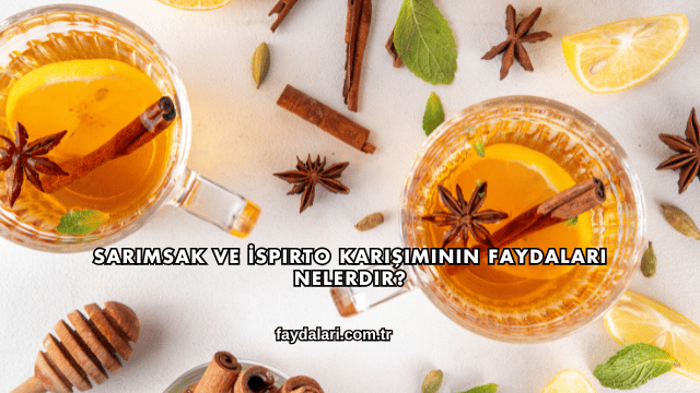 Sarımsak ve İspirto Karışımının Faydaları Nelerdir?