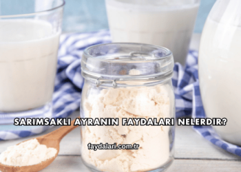 Sarımsaklı Ayranın Faydaları Nelerdir?