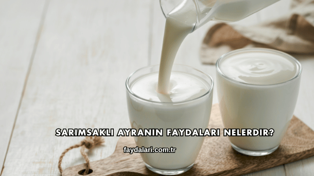 Sarımsaklı Ayranın Faydaları Nelerdir?