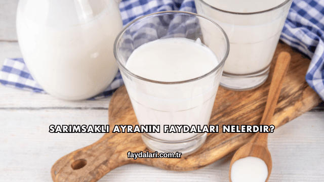 Sarımsaklı Ayranın Faydaları Nelerdir?