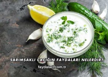 Sarımsaklı Cacığın Faydaları Nelerdir?