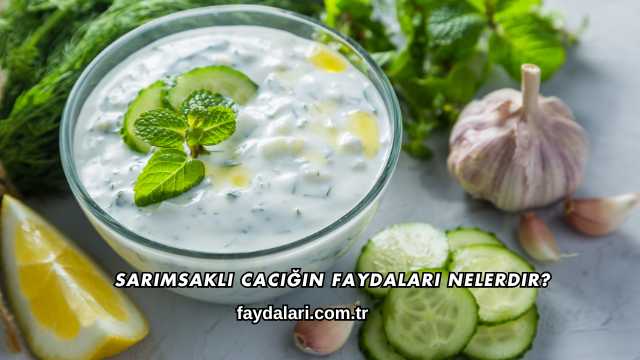 Sarımsaklı Cacığın Faydaları Nelerdir?