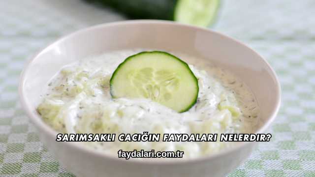 Sarımsaklı Cacığın Faydaları Nelerdir?