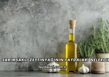 Sarımsaklı Zeytinyağının Faydaları Nelerdir?