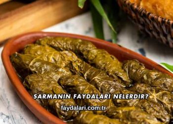 Sarmanın Faydaları Nelerdir?