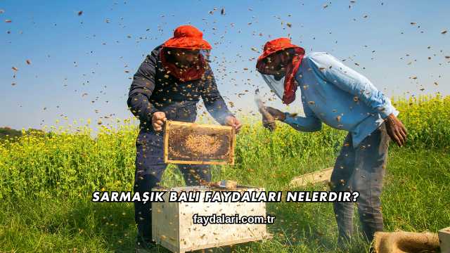 Sarmaşık Balı Faydaları Nelerdir?