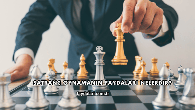 Satranç Oynamanın Faydaları Nelerdir?
