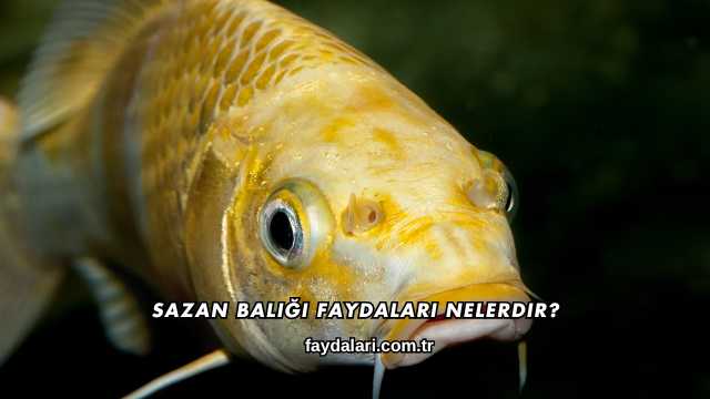 Sazan Balığı Faydaları Nelerdir?