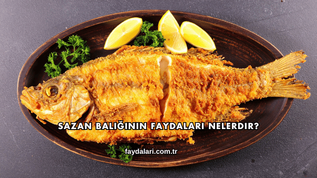 Sazan Balığının Faydaları Nelerdir?