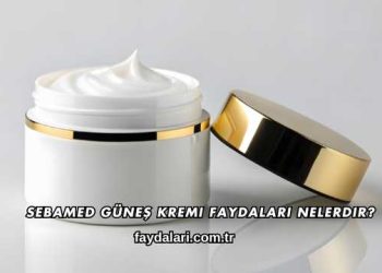 Sebamed Güneş Kremi Faydaları Nelerdir?