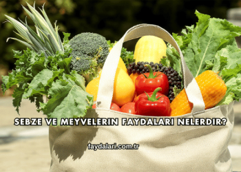 Sebze ve Meyvelerin Faydaları Nelerdir?