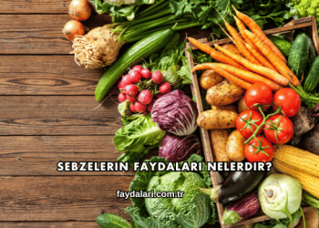 Sebzelerin Faydaları Nelerdir?