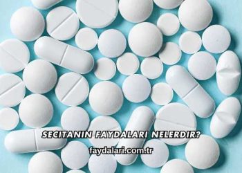 Secitanin Faydaları Nelerdir?