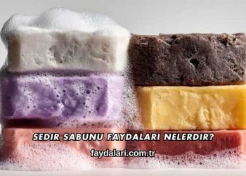 Sedir Sabunu Faydaları Nelerdir?