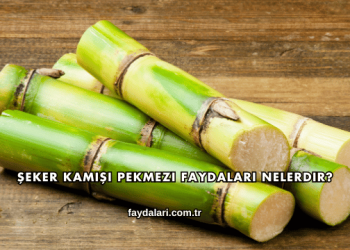 Şeker Kamışı Pekmezi Faydaları Nelerdir?