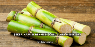 Şeker Kamışı Pekmezi Faydaları Nelerdir?
