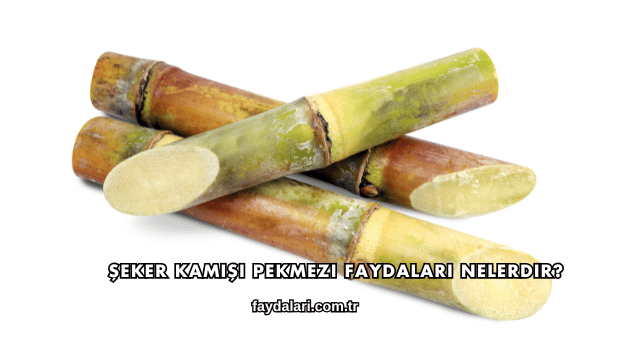 Şeker Kamışı Pekmezi Faydaları Nelerdir?
