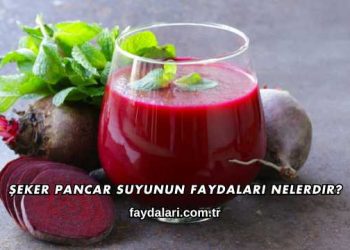 Şeker Pancar Suyunun Faydaları Nelerdir?