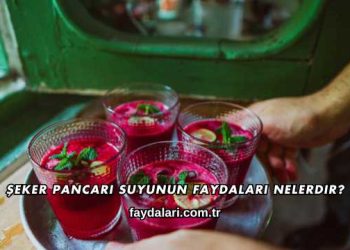 Şeker Pancarı Suyunun Faydaları Nelerdir?