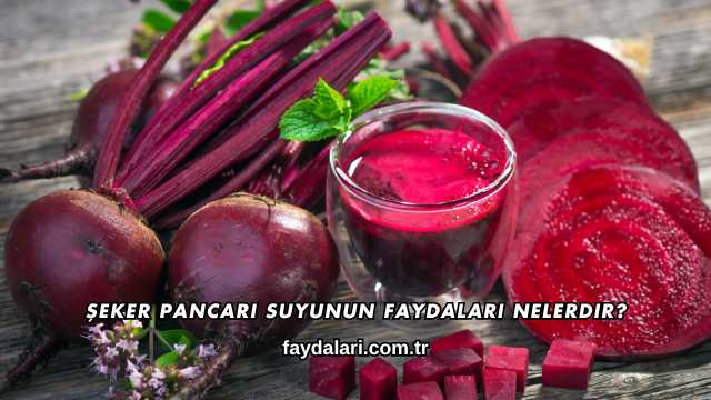 Şeker Pancarı Suyunun Faydaları Nelerdir?