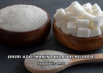 Şekeri Azaltmanın Faydaları Nelerdir?