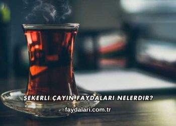 Şekerli Çayın Faydaları Nelerdir?