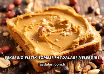 Şekersiz Fıstık Ezmesi Faydaları Nelerdir?