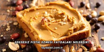 Şekersiz Fıstık Ezmesi Faydaları Nelerdir?