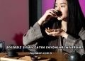 Şekersiz Siyah Çayın Faydaları Nelerdir?