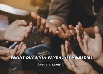 Biyoteknolojinin Faydaları Nelerdir?