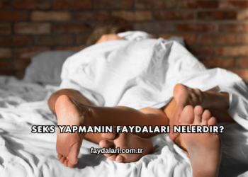 Seks Yapmanın Faydaları Nelerdir?