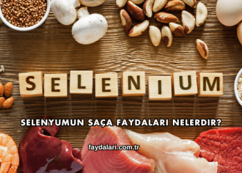 Selenyumun Saça Faydaları Nelerdir?